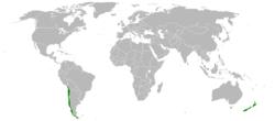 TPSEP-4 Countries.png