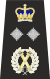 Met Dep Commissioner Epaulette.svg