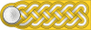 NSFK-Gruppenführer shoulder.svg