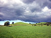 Pasture land north of Preston Patrick Hall - geograph.org.uk - 2040143.jpg