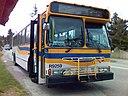 Translink R9259.jpg