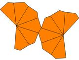Twisted hexagonal trapezohedron net.png