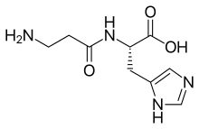 Carnosine.svg