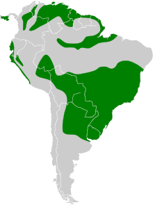 Combined range map of Geothlypis aequinoctialis, Geothlypis auricularis, Geothlypis chiriquensis, Geothlypis velata.svg