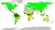 The biomes occupied by Fabaceae
