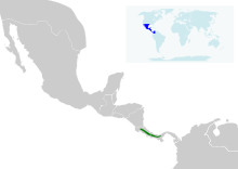 Myioborus torquatus map.svg