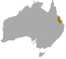 Unadorned Rock Wallaby area.png