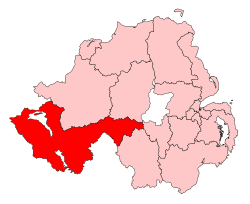 FermanaghSouthTyroneConstituency.svg