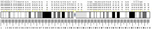 Chromosome 1 (human)