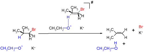 Scheme 1: E2 reaction mechanism