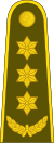 18-Lithuania Army-COL.svg