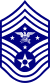 USAF SEAC.svg