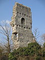 Bramber Castle from Bramber churchyard.jpg