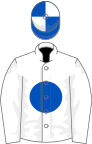 White, royal blue ball, white sleeves, blue and white quartered cap