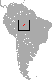 Marca's Marmoset area.png