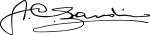 Augusto C. Sandino Signature.svg