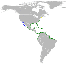 Egretta tricolor map.svg