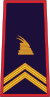 Gradë ceremoniali, Inspektor (Policia e Shtetit).svg