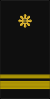 PN LTJG BlkDr-Slv.svg