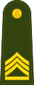 Special Master Sergeant 1st Class