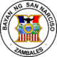 Official seal of San Narciso