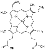 Heme b.svg