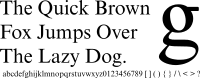 Times New Roman sample.svg