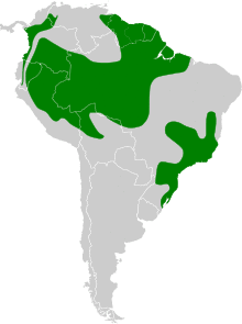 Patagioenas plumbea map.svg