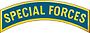 SpecialForcesTabMetal.jpg
