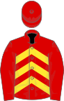RED and YELLOW CHEVRONS, red sleeves and cap