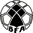 Shirt badge/Association crest