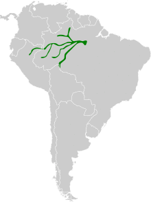 Dendroplex kienerii map.svg