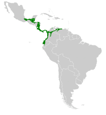 Phaethornis striigularis map.svg