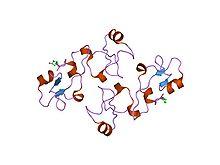 PDB 1psp EBI.jpg