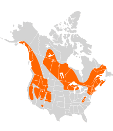 Sorex palustris distribution.svg