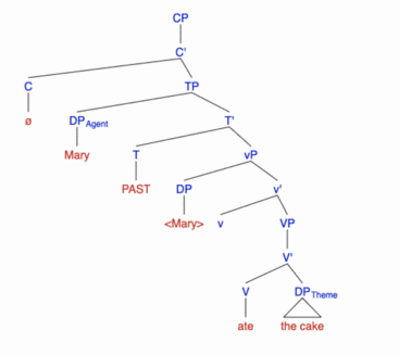 Propositional Evidence of vp phase.png