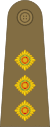 Captain