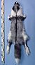 Vulpes vulpes (Platinum fox) fur skin.jpg
