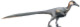 Austroraptor Restoration (flipped).png
