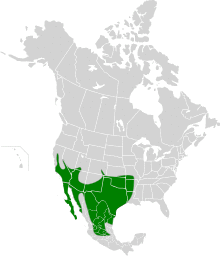 Geococcyx californianus map.svg