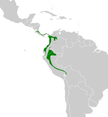 Microbates cinereiventris map.svg
