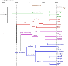 Tree of maya languages.svg