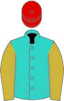 Turquoise, old gold sleeves, red cap
