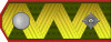 ROA-Generalleutnant h.svg