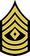 TAMU-11-Cadet-1SG.JPG