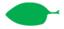 Leaf morphology oblique.png