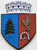 Coat of arms of Brad