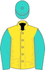 Yellow, turquoise sleeves and cap