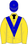 Yellow, royal blue chevron, royal blue cap