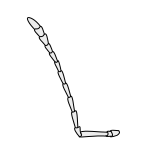 Insect-antenna geniculate.svg